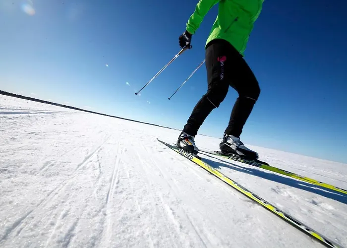 Lomahuoneisto Tuomenkartano B 9